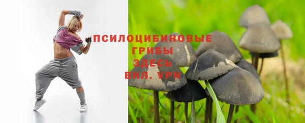 спайс Магадан