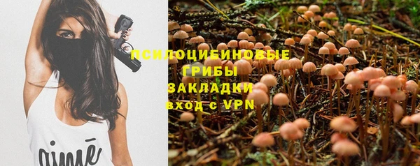 спайс Магадан
